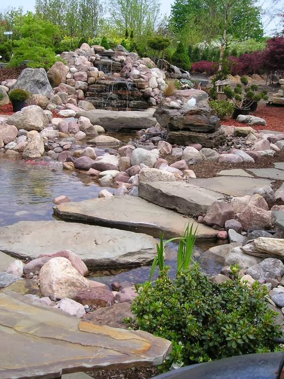 Lincoln Park Nursery | 5705 Shawnee Rd, Sanborn, NY 14132, USA | Phone: (716) 692-6100