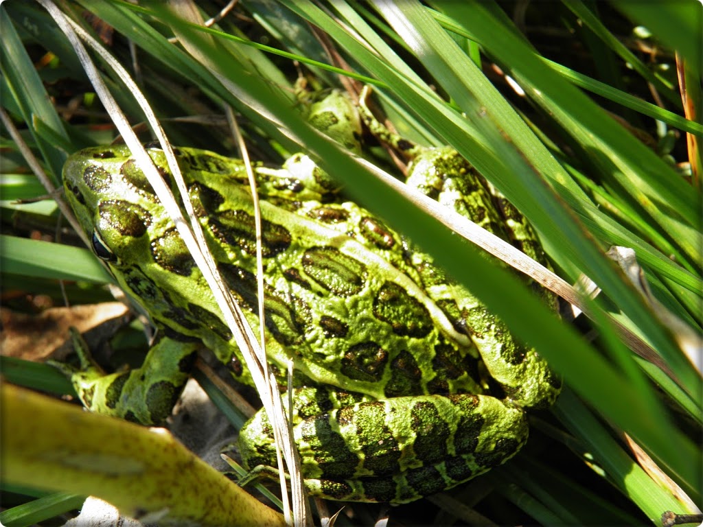 Snyders Flats Conservation Area | 1260 Snyders Flats Rd, Bloomingdale, ON N0B 1K0, Canada | Phone: (519) 621-2761