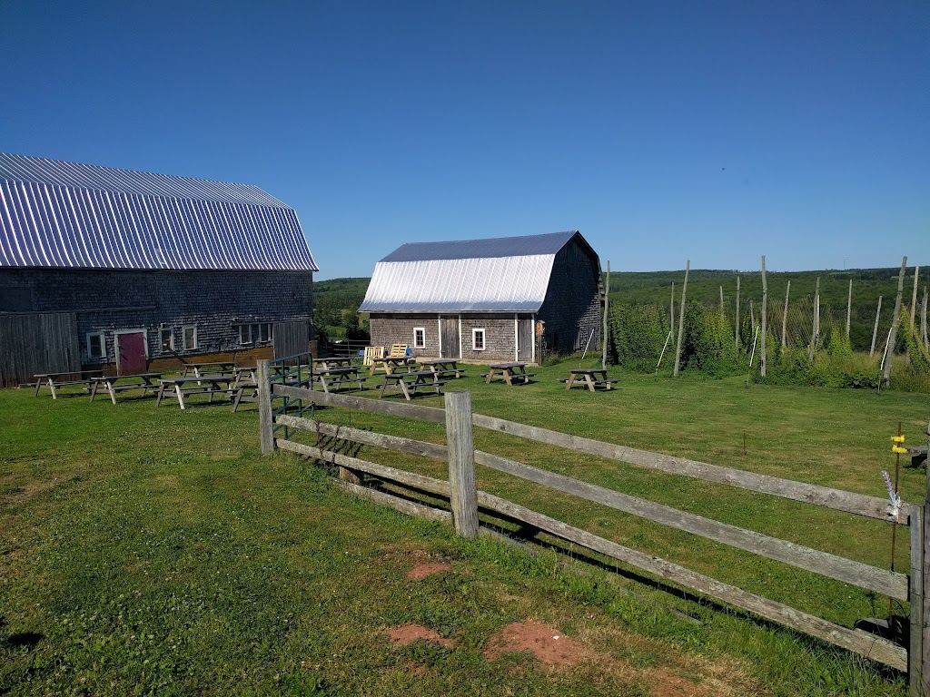 Barnone Brewery and Hop Farm | 4248 Route 225, Breadalbane, Prince Edward Island C0A 1E0, Canada | Phone: (902) 303-2923