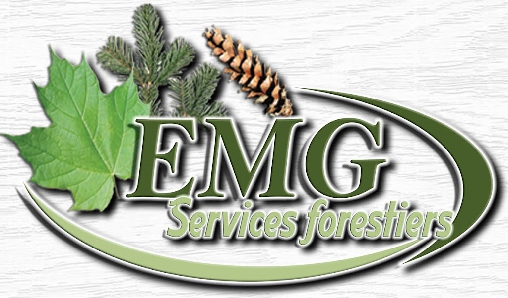 Services forestiers EMG | 358 Rue Principale, East Broughton, QC G0N 1G0, Canada | Phone: (418) 226-5807