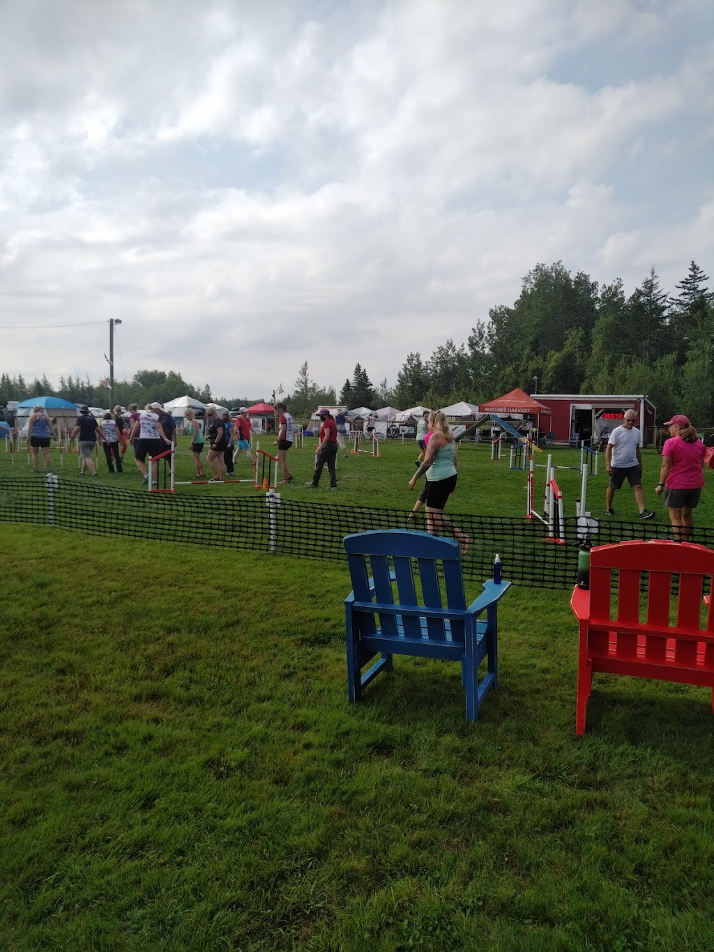 FlatOut Dogs | 6639 NB-15, Woodside, NB E4M 3X7, Canada | Phone: (506) 940-4018