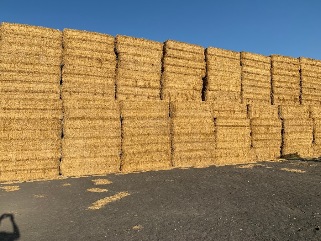 Cormier Bales Ltd. | 7033 Rd 45 NE, La Salle, MB R0G 1B0, Canada | Phone: (204) 299-0977