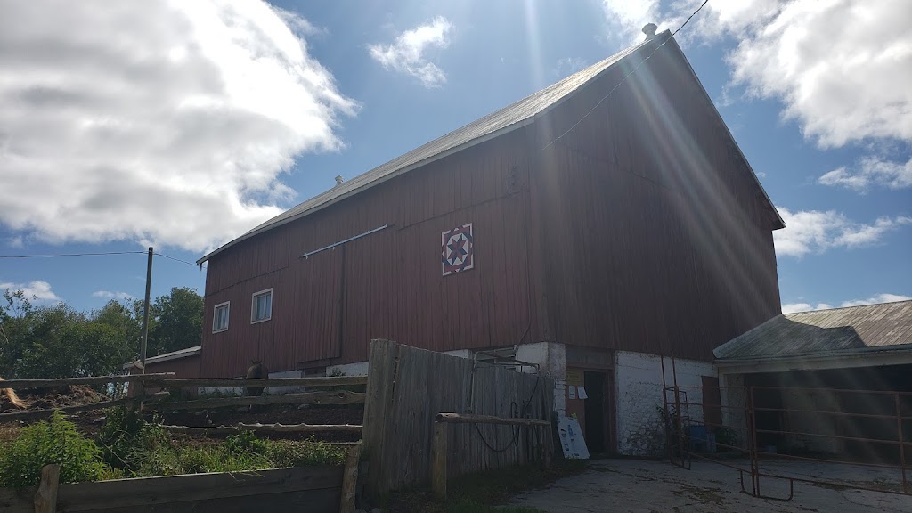 Stillbrook Riding Stables | 570 Woodside Rd, Keene, ON K0L 2G0, Canada | Phone: (705) 295-4538