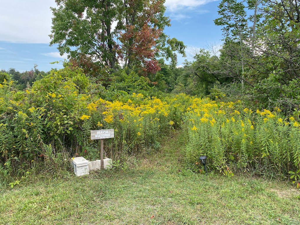 Bunkie by the Pond | 11200 Nassagaweya–Esquesing Townline, Milton, ON L9T 2X7, Canada | Phone: (416) 527-3971