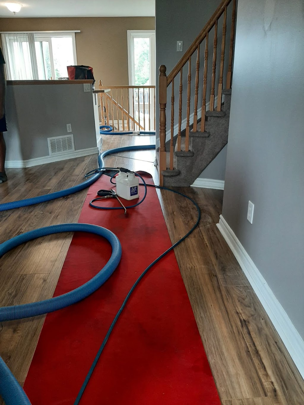 Spider | 301 Emerald St, Kingston, ON K7P 3E1, Canada | Phone: (613) 770-1725