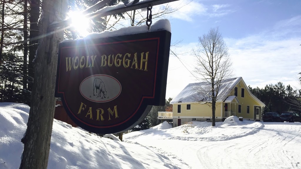Wooly Buggah Barn | 182 Center Pond Rd, West Burke, VT 05871, USA | Phone: (802) 535-2200
