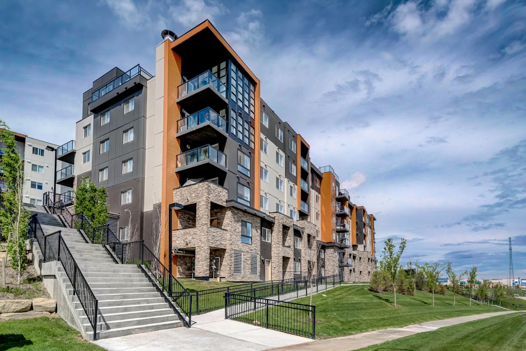 Emerald Sky | 15 Kincora Glen Park NW, Calgary, AB T3R 1V4, Canada | Phone: (587) 291-9743