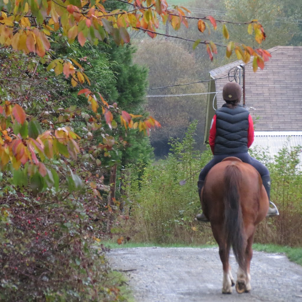 Night Owl Farm | 2100 Fulford-Ganges Rd, Salt Spring Island, BC V8K 1Z7, Canada | Phone: (250) 653-9147