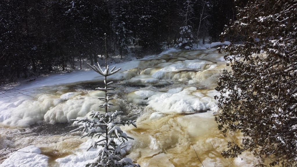 Ramonage Lanaudiere | 620 Chemin du Lac Sainte Rose S, Mandeville, QC J0K 1L0, Canada | Phone: (450) 835-0370