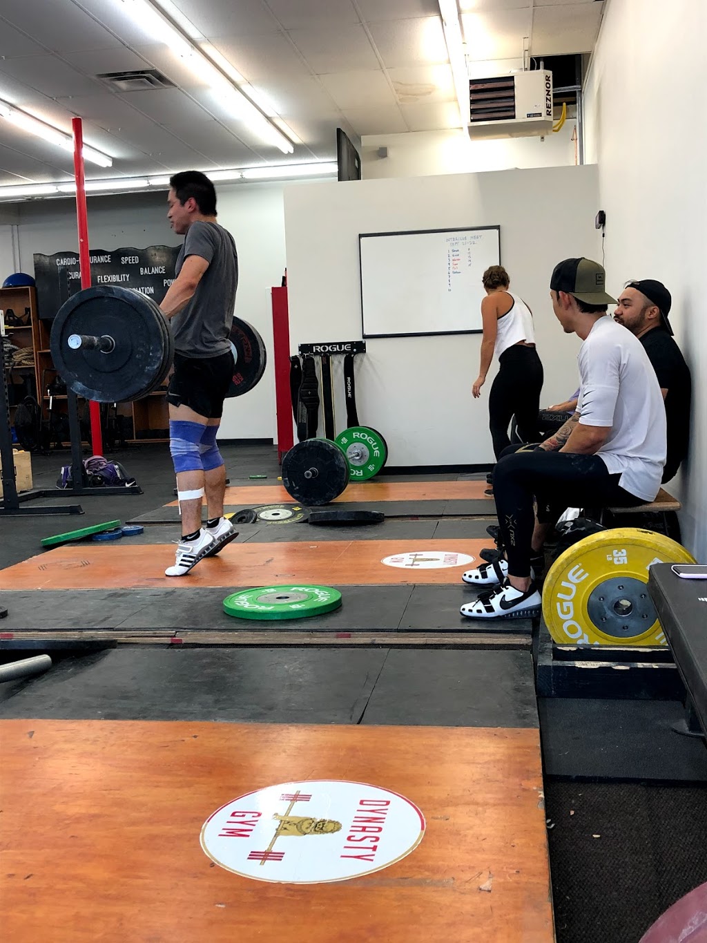 Dynasty Gym Burnaby | 406 Willingdon Ave, Burnaby, BC V5C 5G4, Canada | Phone: (604) 719-7745