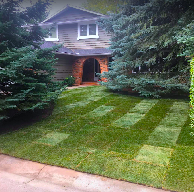 Scott’s Sod Sales & Installation Inc. | 51 Canoe Square SW, Airdrie, AB T4B 2N5, Canada | Phone: (403) 890-2267