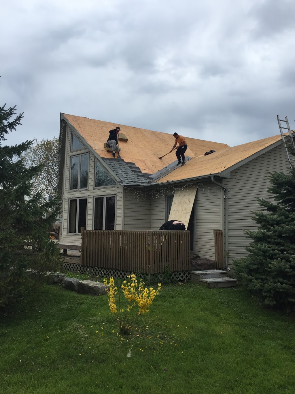 CDR Roofing | 19 Jasmine St, Hamilton, ON L8V 2M8, Canada | Phone: (905) 962-1206