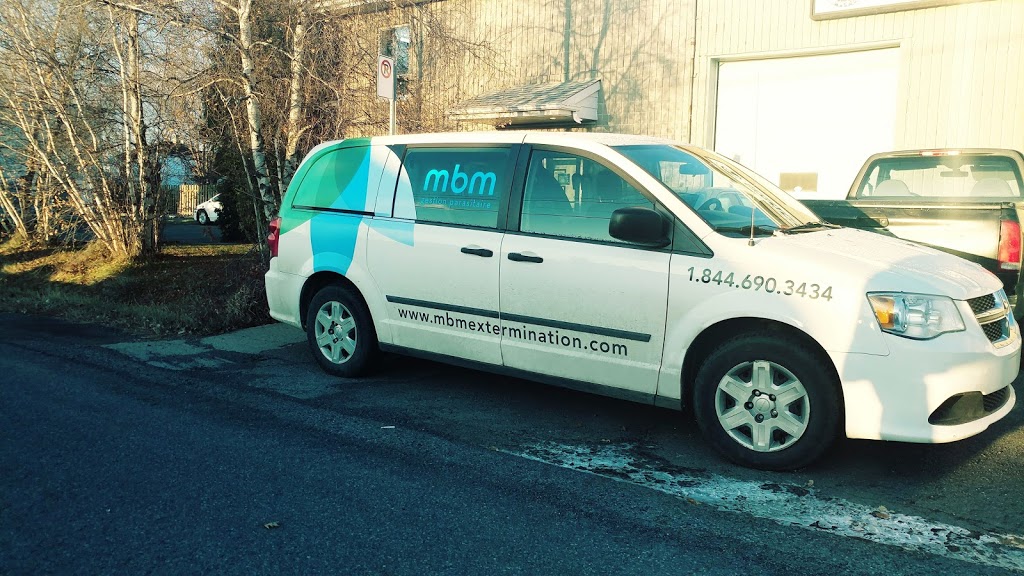 MBM Extermination | 5107 Rue Viger, Saint-Hubert, QC J3Y 8Y9, Canada | Phone: (514) 924-6014