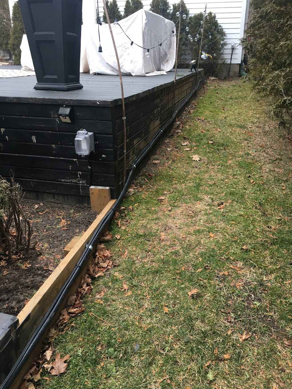 Lia Electric Ltd. | 31 Norman Ross Dr, Markham, ON L3S 3E8, Canada | Phone: (437) 987-1677