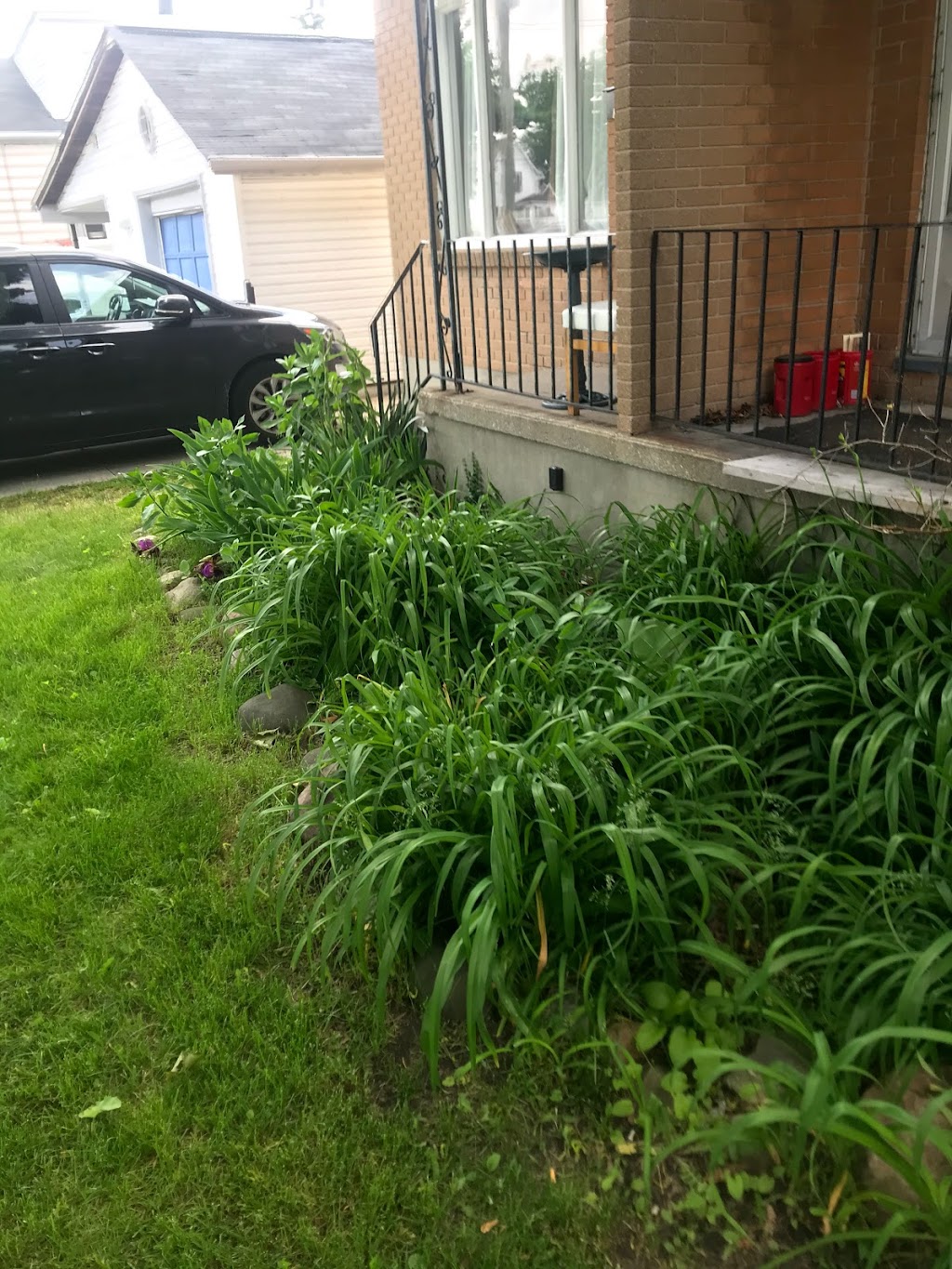 Booms Lawncare | 6485 Brigden Rd, Brights Grove, ON N0N 1C0, Canada | Phone: (519) 331-3706