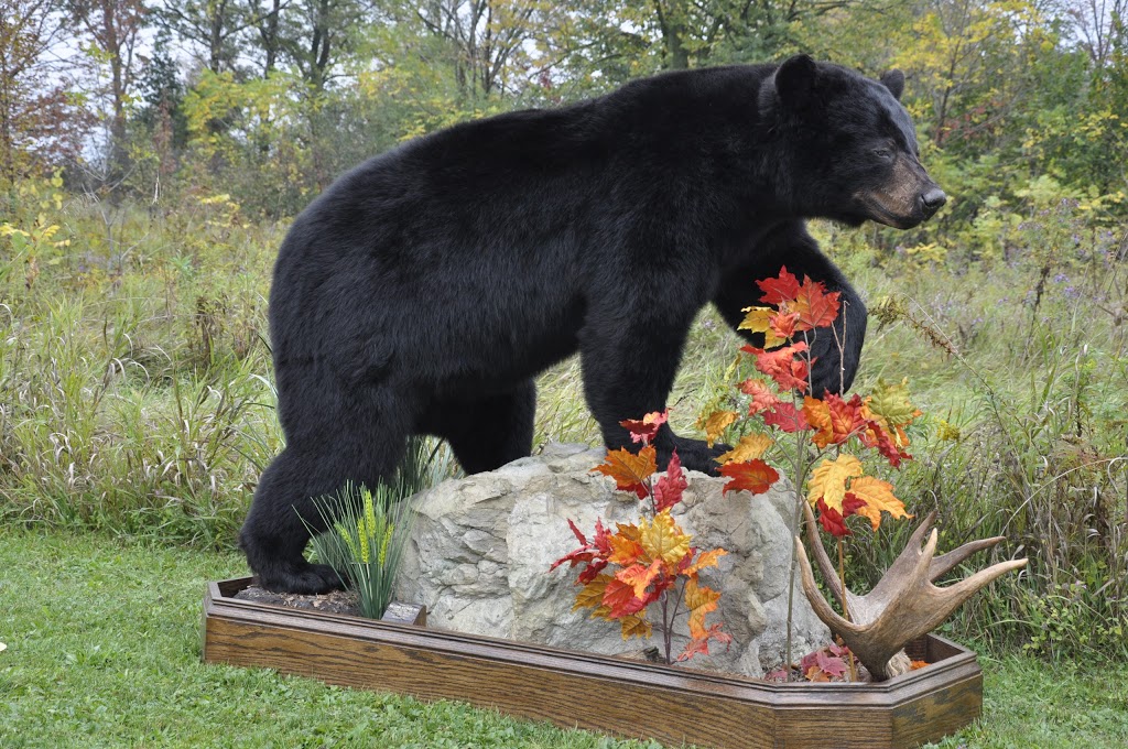 Big Game Wildlife Art and Taxidermy | 1726 Clyde Rd, Cambridge, ON N1R 5S7, Canada | Phone: (519) 620-9532