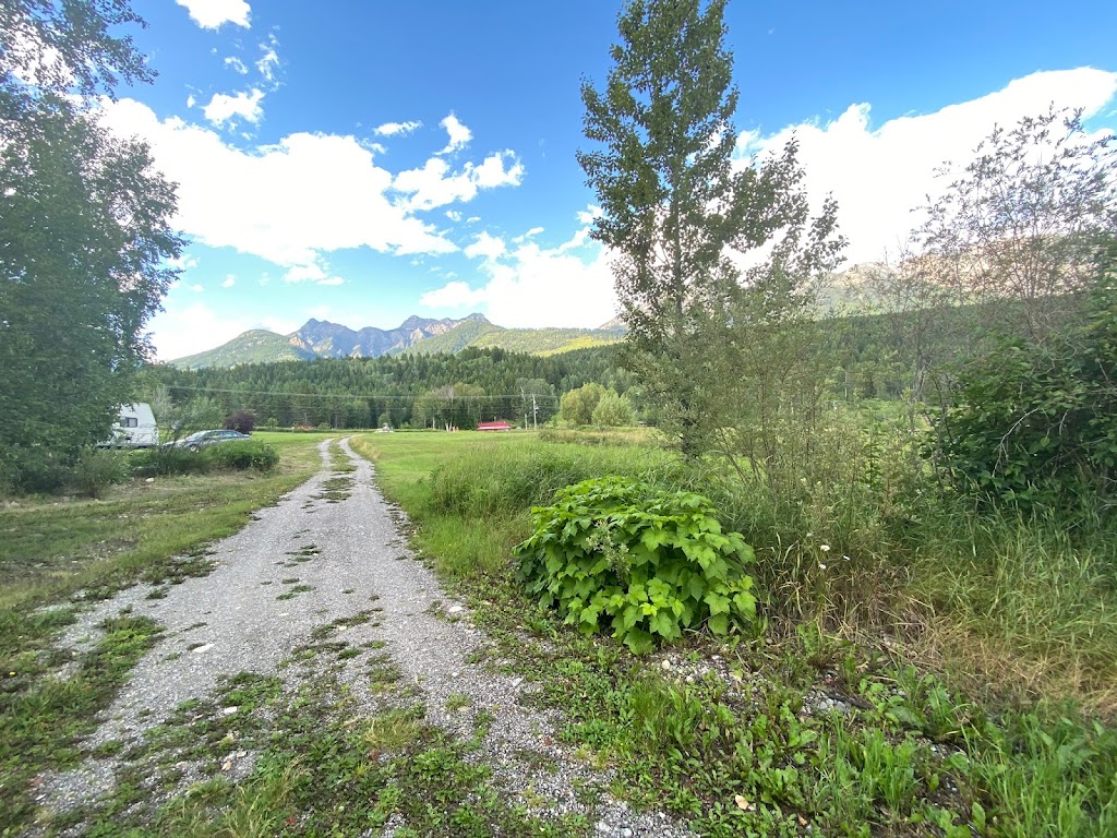 Quinn Creek Campground | 4430 BC-95, Parson, BC BC V0A 1L0, Canada | Phone: (250) 348-2252
