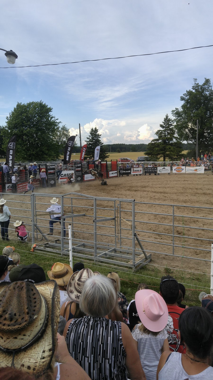 Calhoun Stables | 1590 Durant Rd, Breslau, ON N0B 1M0, Canada | Phone: (519) 664-0636