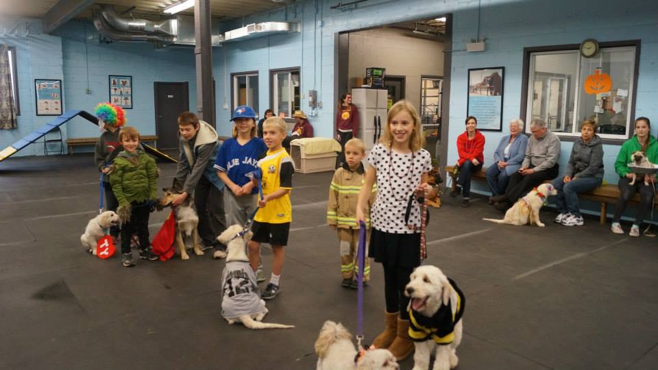 Ellies Wag and Train KW | 1680 Victoria St N, Kitchener, ON N2B 3E5, Canada | Phone: (519) 742-4000