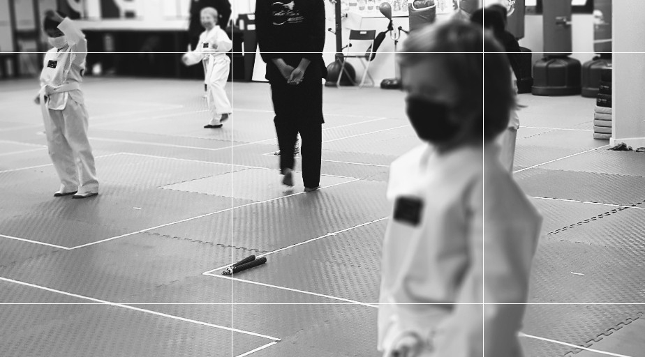 TaeGeuk Taekwondo Canada | 8264 175 St NW #201, Edmonton, AB T5T 1V1, Canada | Phone: (780) 668-7868