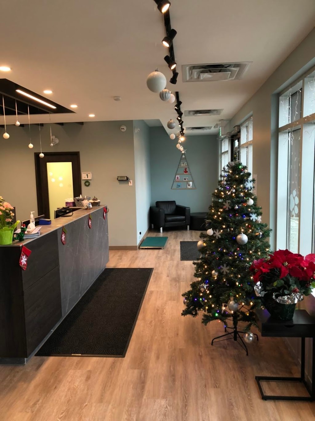 River Path Veterinary Clinic | 50 Fireside Gate #4106, Cochrane, AB T4C 2P3, Canada | Phone: (403) 981-0051