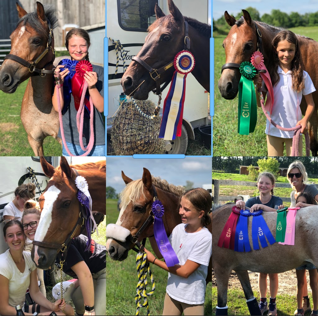 Foxwood Farm Equestrian Centre | 2042 Line 13, Gilford, ON L0L 1R0, Canada | Phone: (905) 775-0155