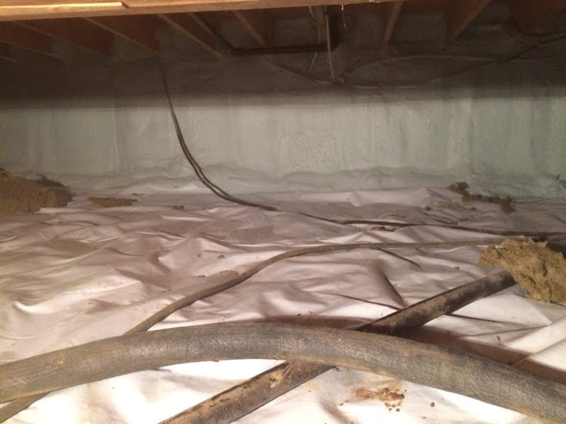 Eco Insulation Strathroy | 540 Albert St Unit C, Strathroy, ON N7G 1W9, Canada | Phone: (519) 205-3626