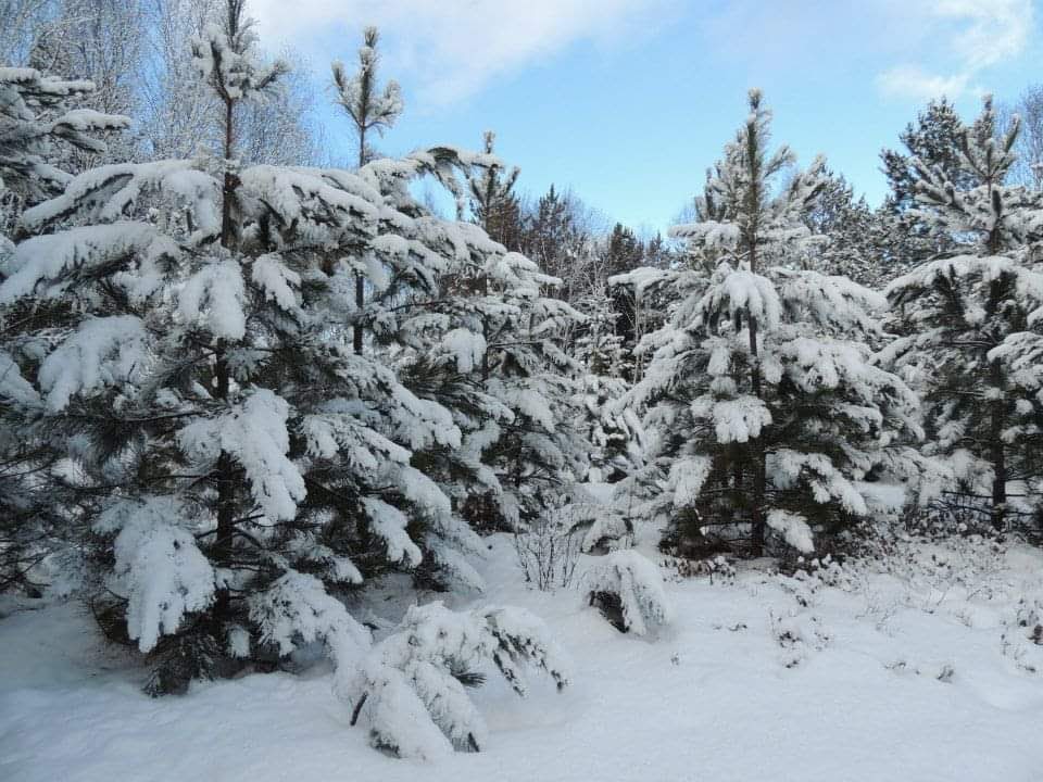Langdon Park | 2653-2747 Martin Rd, Blezard Valley, ON P0M 1E0, Canada