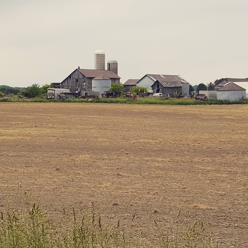 Dofasco 2000 Rail Trail | 204 Ridge Rd, Stoney Creek, ON L8J 2W1, Canada