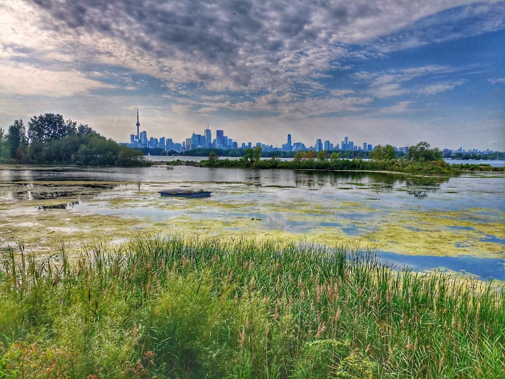 Environmental Outdoor Classroom | Unnamed Road, Toronto, ON M4M, Canada