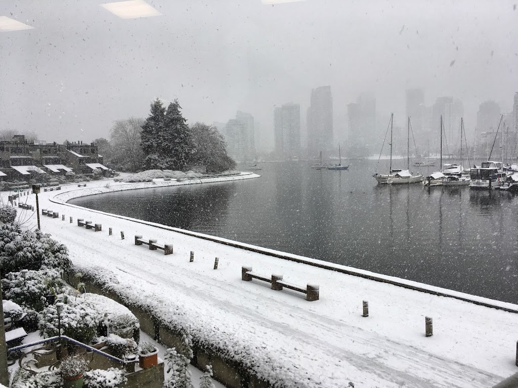 False Creek Dental Centre | 676A Leg in Boot Square, Vancouver, BC V5Z 4B4, Canada | Phone: (604) 874-9388
