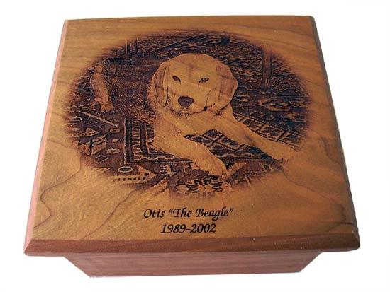 Stitchery & More | 509 11 Ave, Nisku, AB T9E 7N5, Canada | Phone: (780) 979-9995