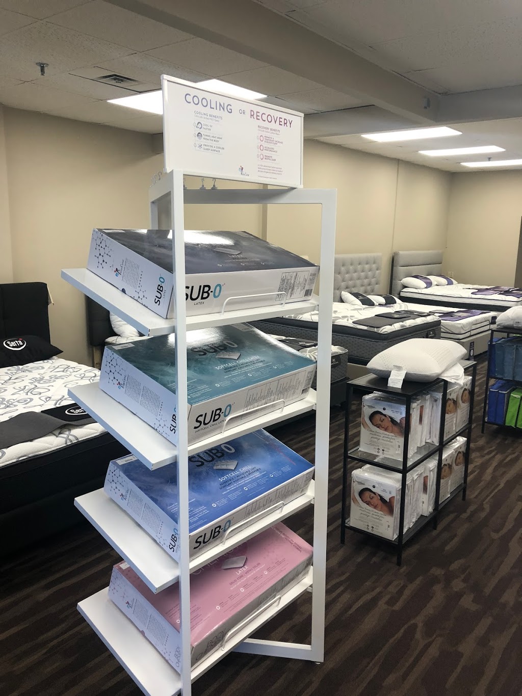 Mattress World | 1781B Wellington Ave, Winnipeg, MB R3H 1H7, Canada | Phone: (204) 786-4879