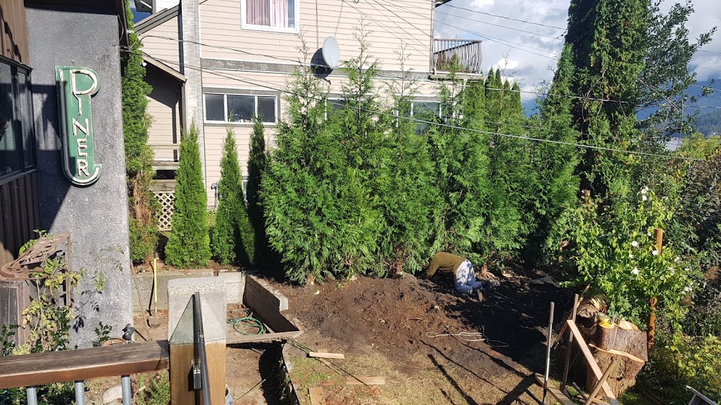 Camson Creek Cedars | 29219 Sangara Ave, Abbotsford, BC V4X 2G3, Canada | Phone: (604) 857-5614