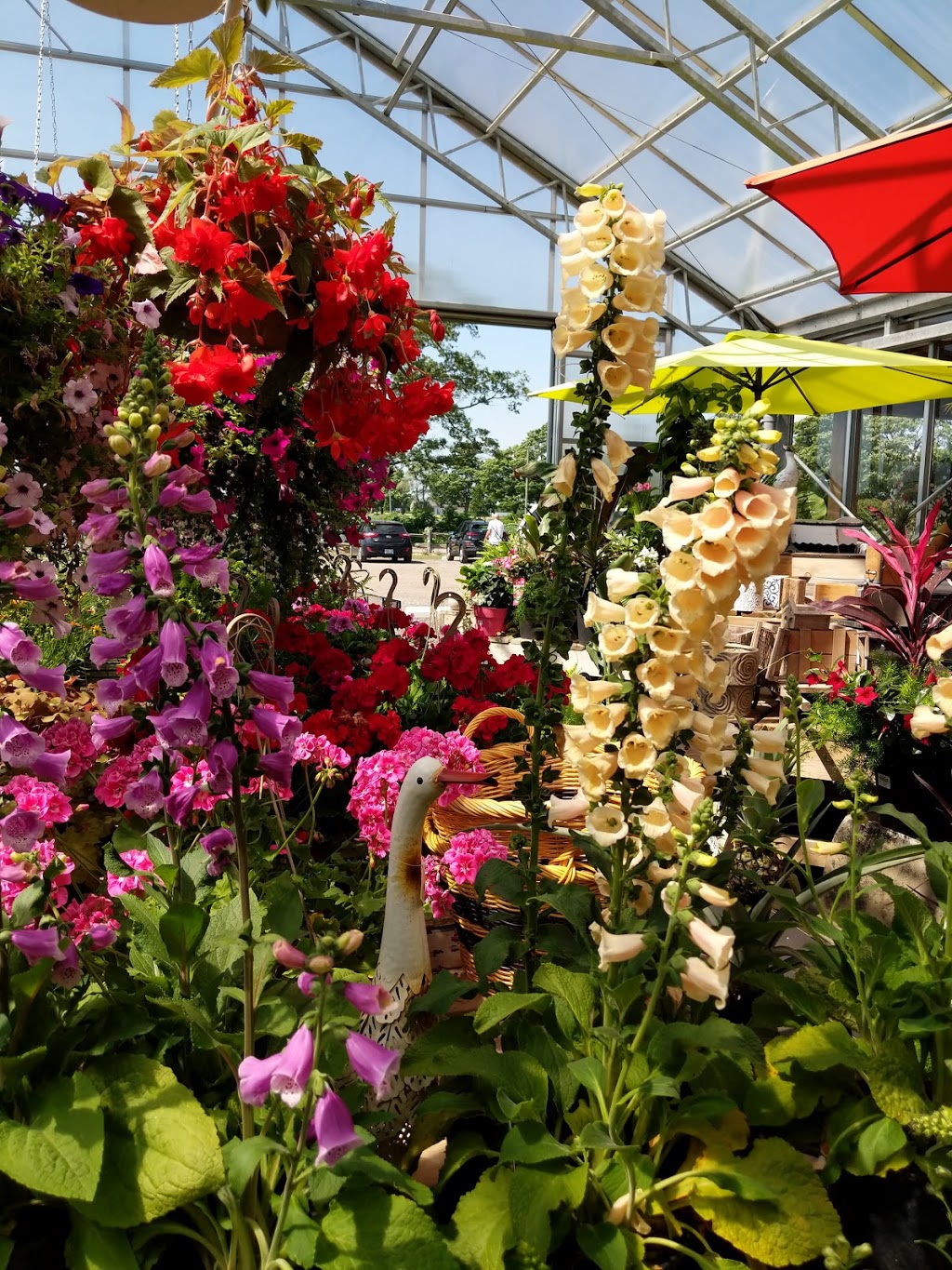 Sams Place Farm Market | 4665 Hwy 24, Scotland, ON N0E 1R0, Canada | Phone: (519) 446-9992