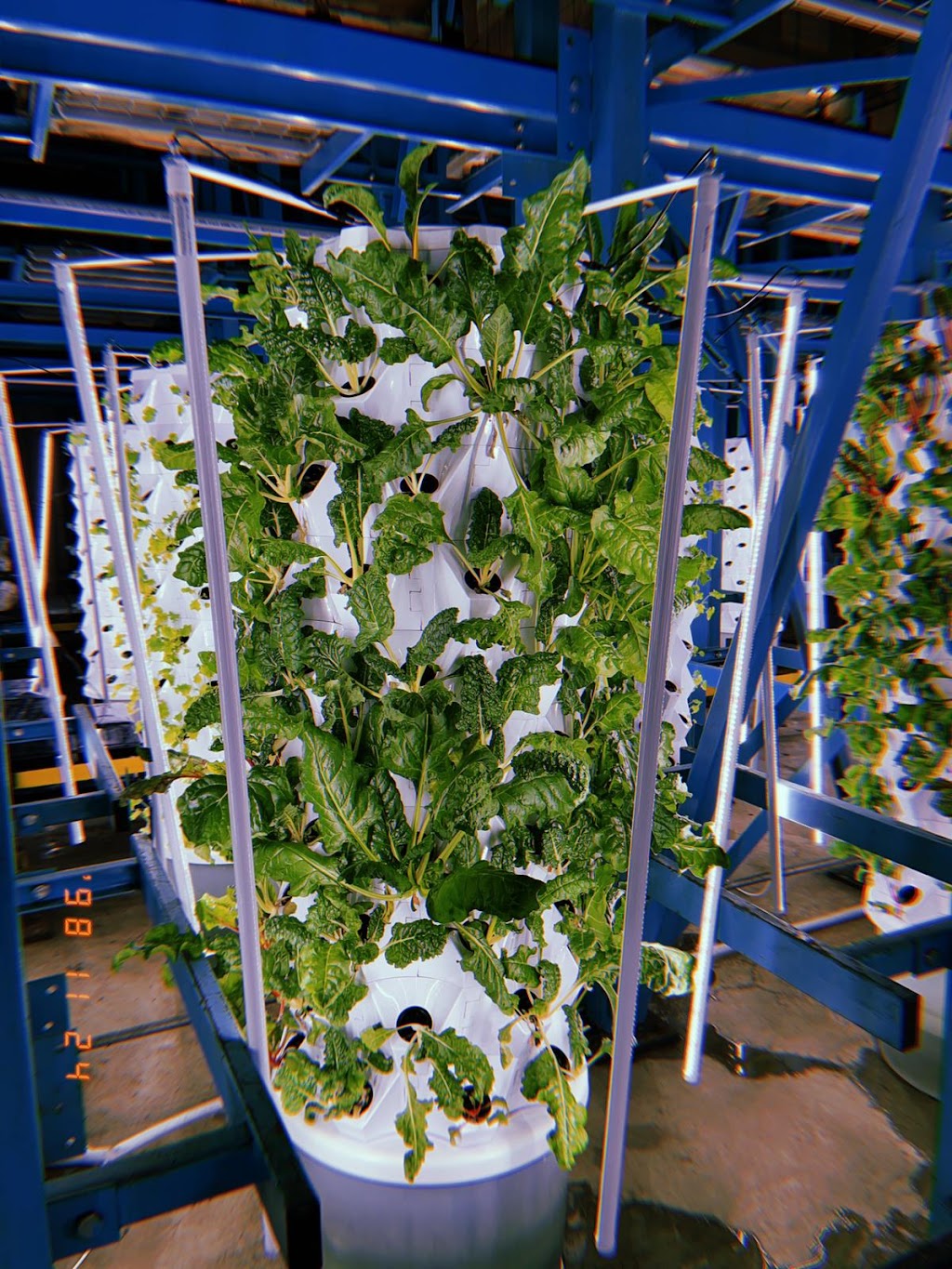 Farmia Agritech | 100 Kellogg Ln, London, ON N5W 2T5, Canada | Phone: (647) 990-0151