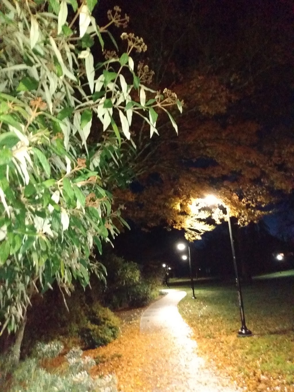 Stadacona Park | 1490 Pandora Ave, Victoria, BC V8R 6P9, Canada | Phone: (250) 361-0600