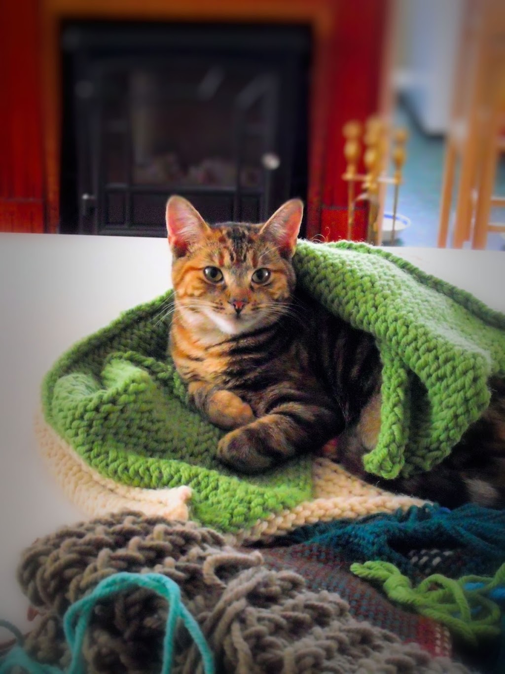 Knit Pickers PEI | 566 Line Rd, Mayfield, PE C0A 1N0, Canada | Phone: (902) 626-8284