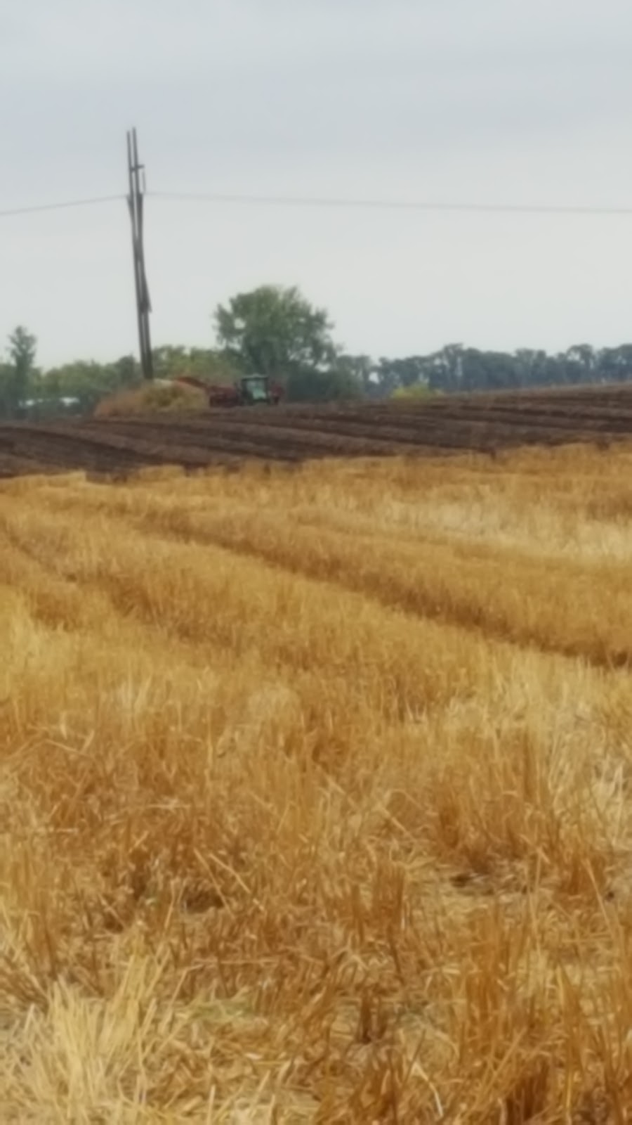 WJ Siemens Farming (Reinfeld Yard) | Stanley, MB R0G 1R0, Canada | Phone: (204) 324-6023