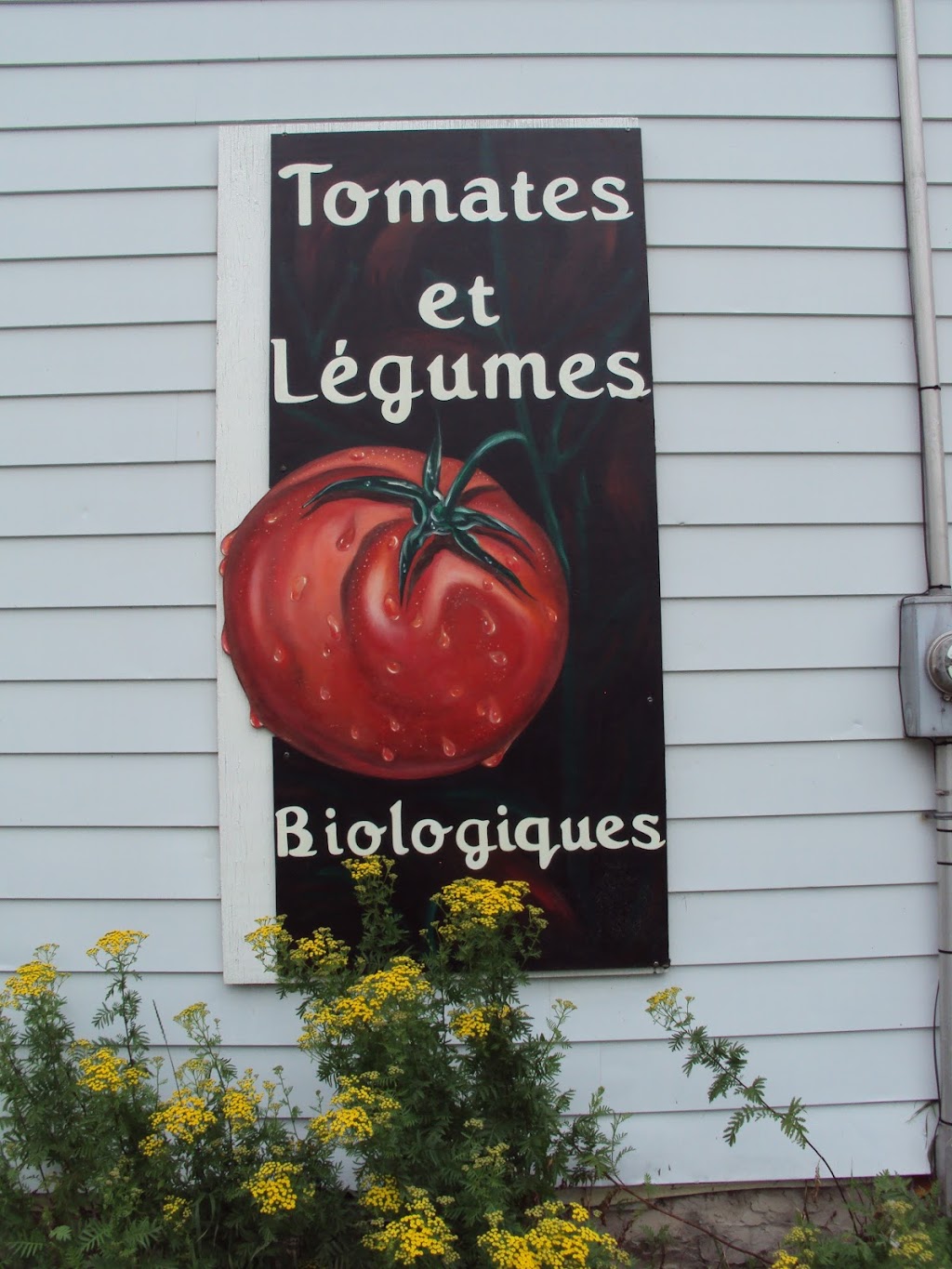 Ferme des Ruisseaux | 636 Av. des Ruisseaux, Pintendre, QC G6C 1N1, Canada | Phone: (418) 835-1134
