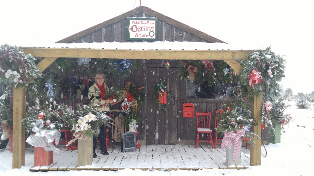 Pedde Tree Farm | 2182 Manning Dr, London, ON N6N 1K2, Canada | Phone: (519) 644-1168