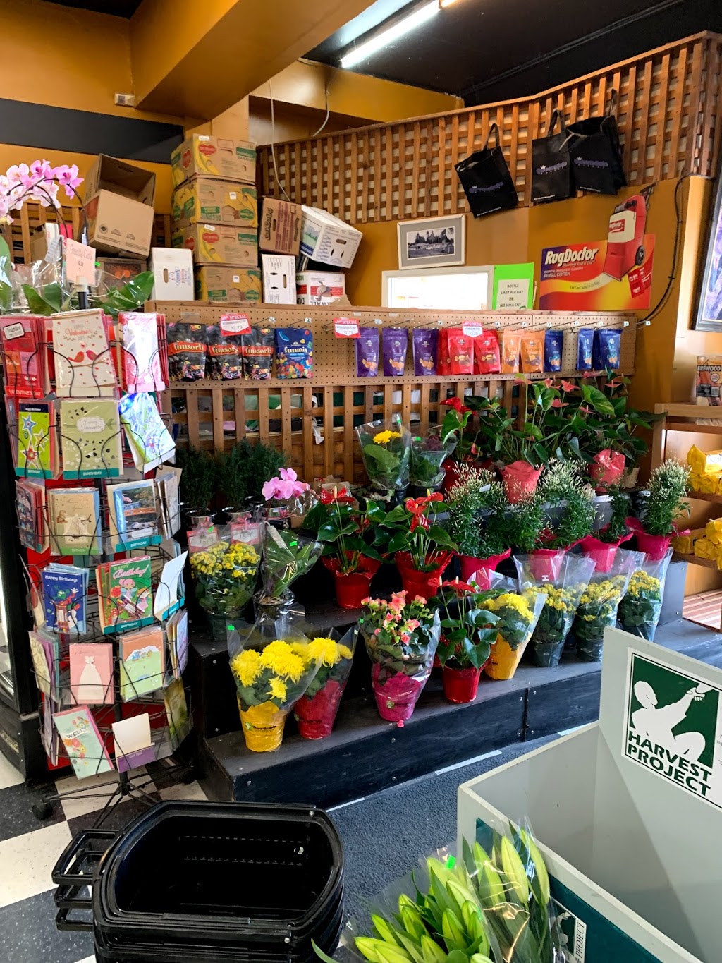 Queensdale Market | 3030 Lonsdale Ave, North Vancouver, BC V7N 3J5, Canada | Phone: (604) 987-6644