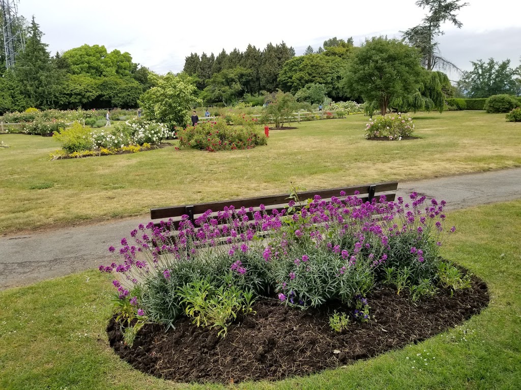 Queen Elizabeth Dog Park | 227-281 W 37th Ave, Vancouver, BC V5Y, Canada