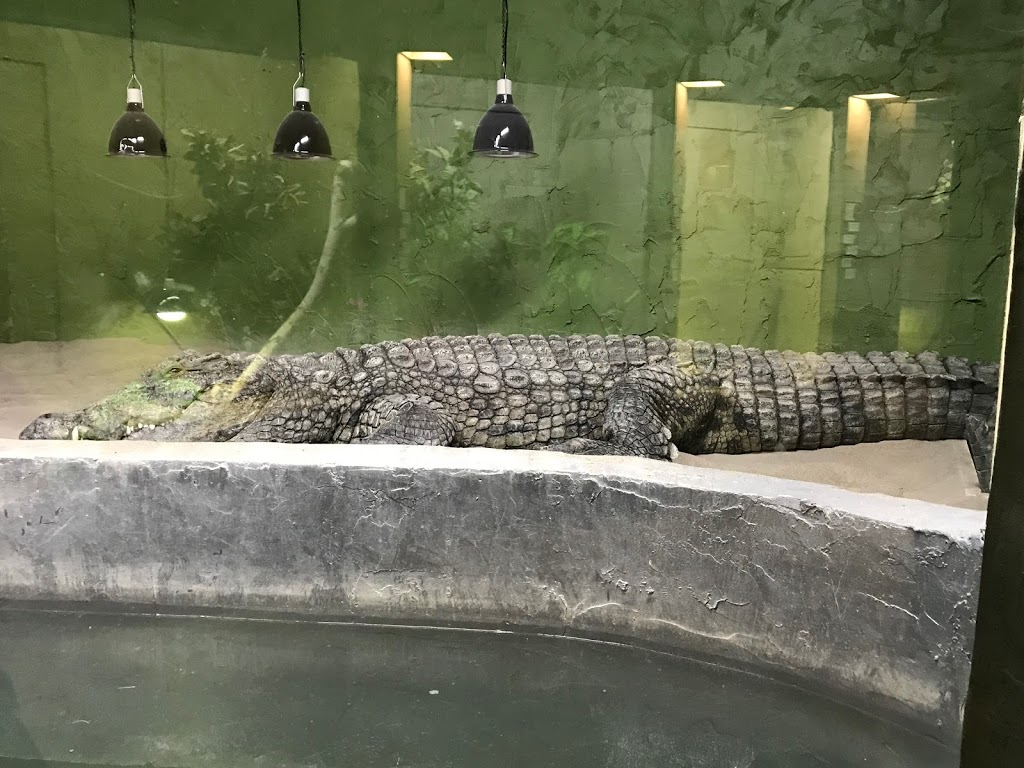 Reptilia Whitby | 1400 Victoria St E, Whitby, ON L1N 0M2, Canada | Phone: (905) 493-9537