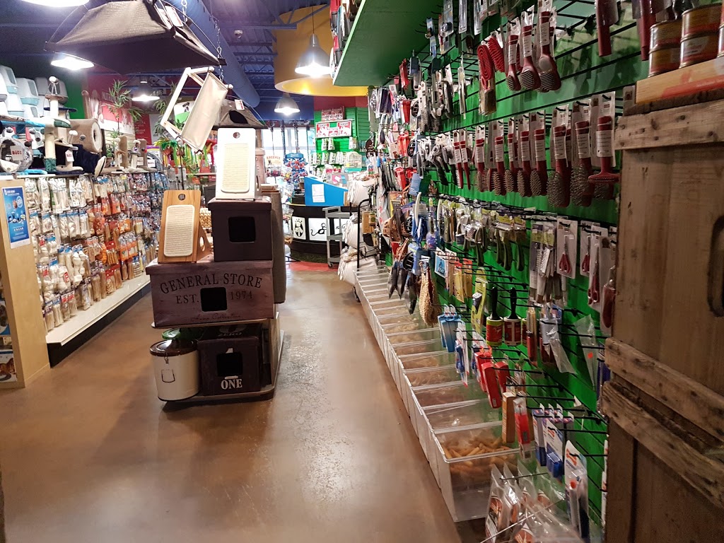 Animalerie Règne Animal Inc. | 35 Rue John-Savage #101, Bromont, QC J2L 0A5, Canada | Phone: (450) 534-9933