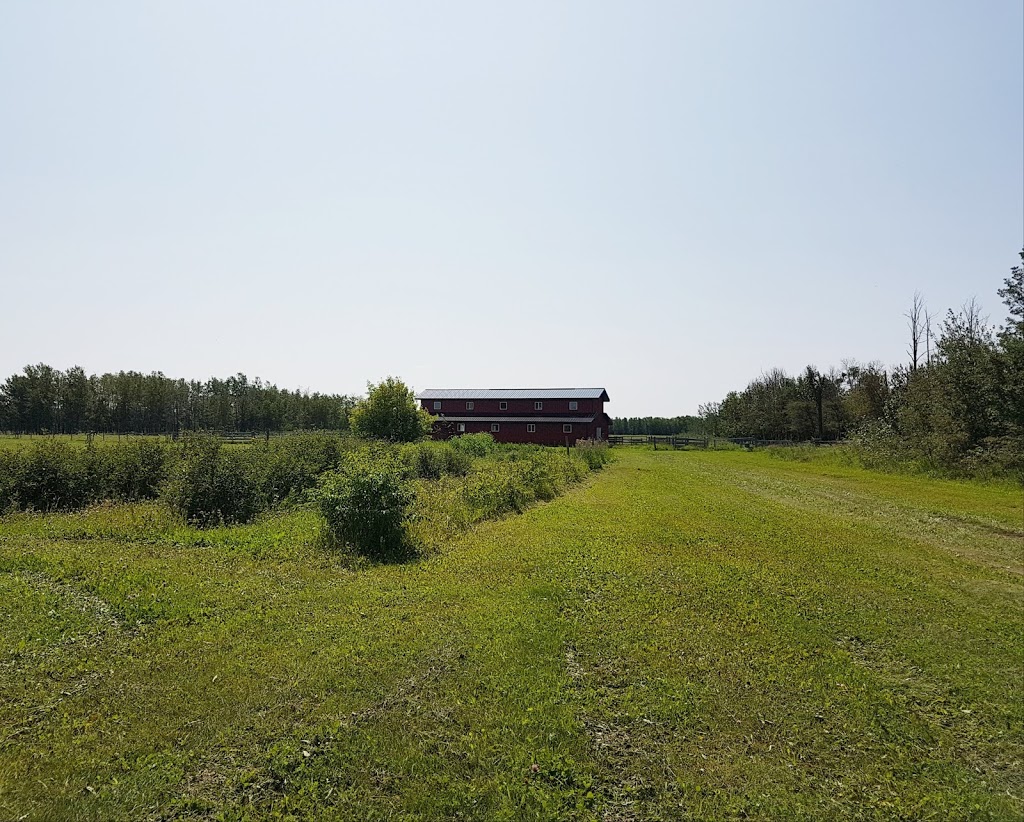 Hidden Acres Farm and RV Storage | 48339, Range Rd 263, Leduc County, AB T0B 3M1, Canada | Phone: (780) 974-1291