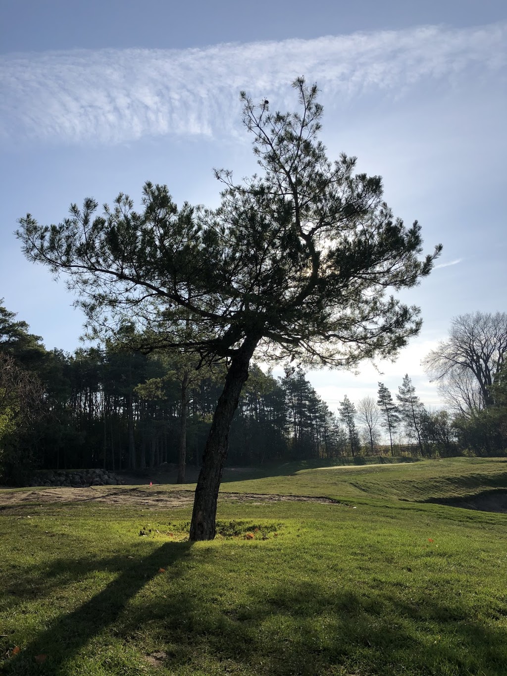 Wolf Run Golf Club | 51 Golf Course Rd, Janetville, ON L0B 1K0, Canada | Phone: (705) 328-3949