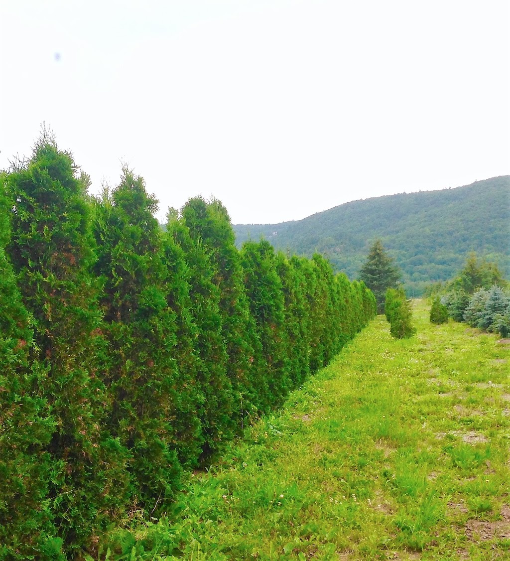 Horticulture Latrémouille | 1892 Chem. de la Montagne, Luskville, QC J0X 2G0, Canada | Phone: (819) 455-9171