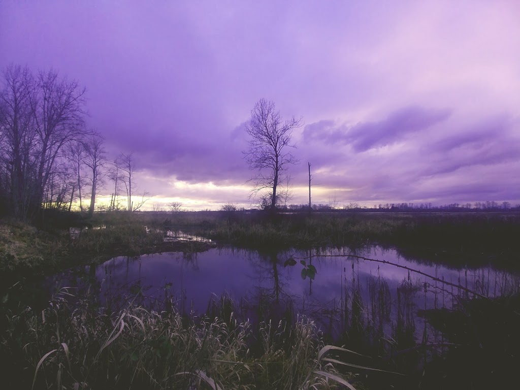 Harbour Park | 4905 Mcneelys Way, Delta, BC V4K 5E2, Canada | Phone: (604) 946-4141