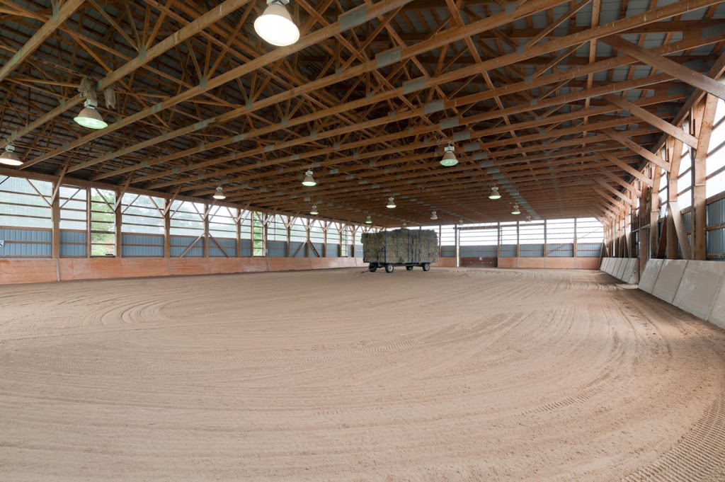 VQ Equestrian | 6686 Gore Rd, Puslinch, ON N0B 2J0, Canada | Phone: (647) 567-3174